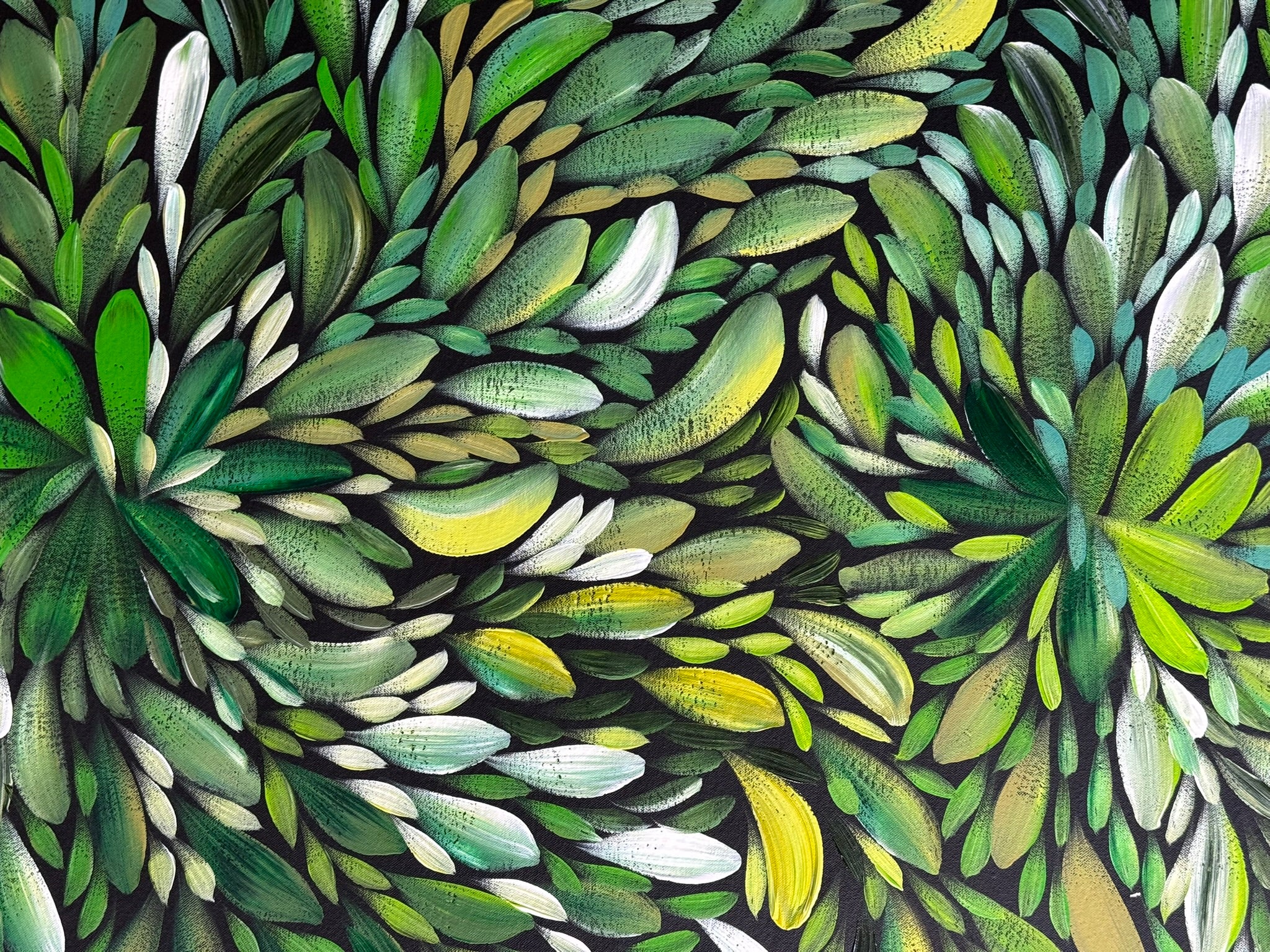 Louise Numina Napananka - Bush Medicine Leaves .22-15