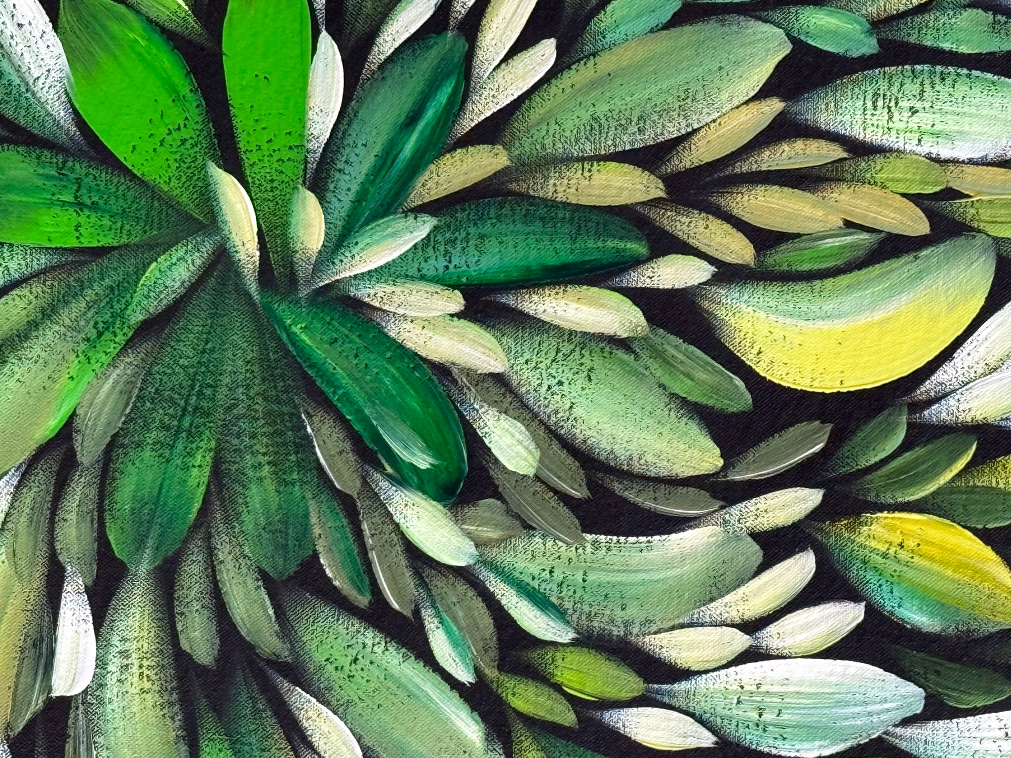 Louise Numina Napananka - Bush Medicine Leaves .22-15