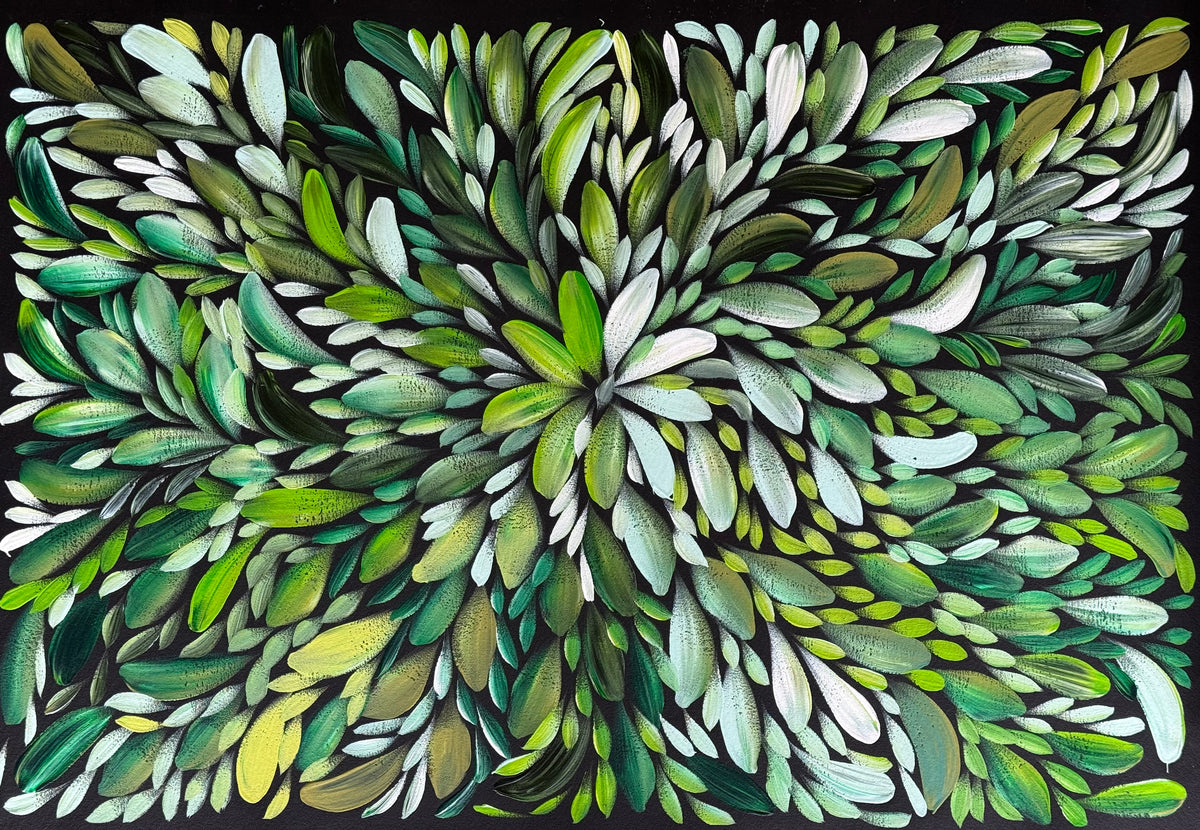 Louise Numina Napananka - Bush Medicine Leaves .22-14