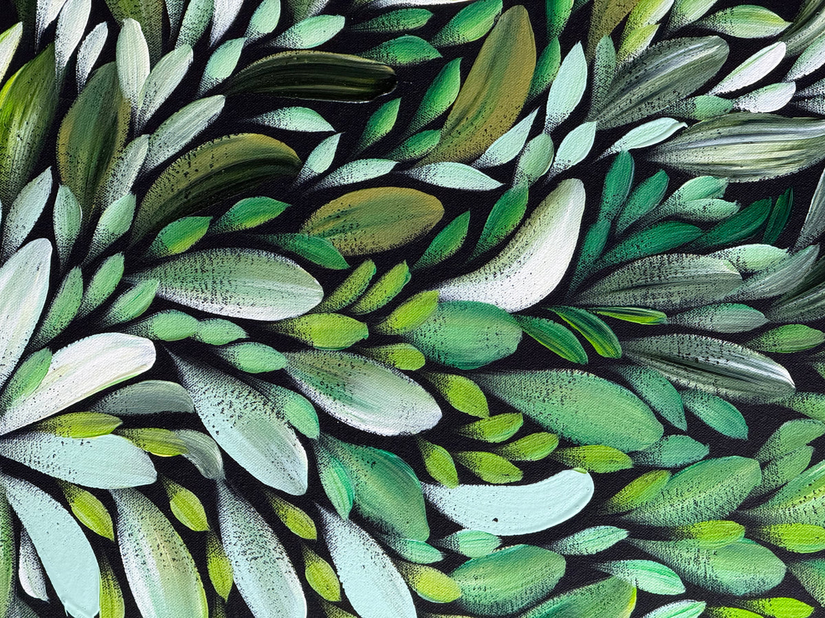 Louise Numina Napananka - Bush Medicine Leaves .22-14