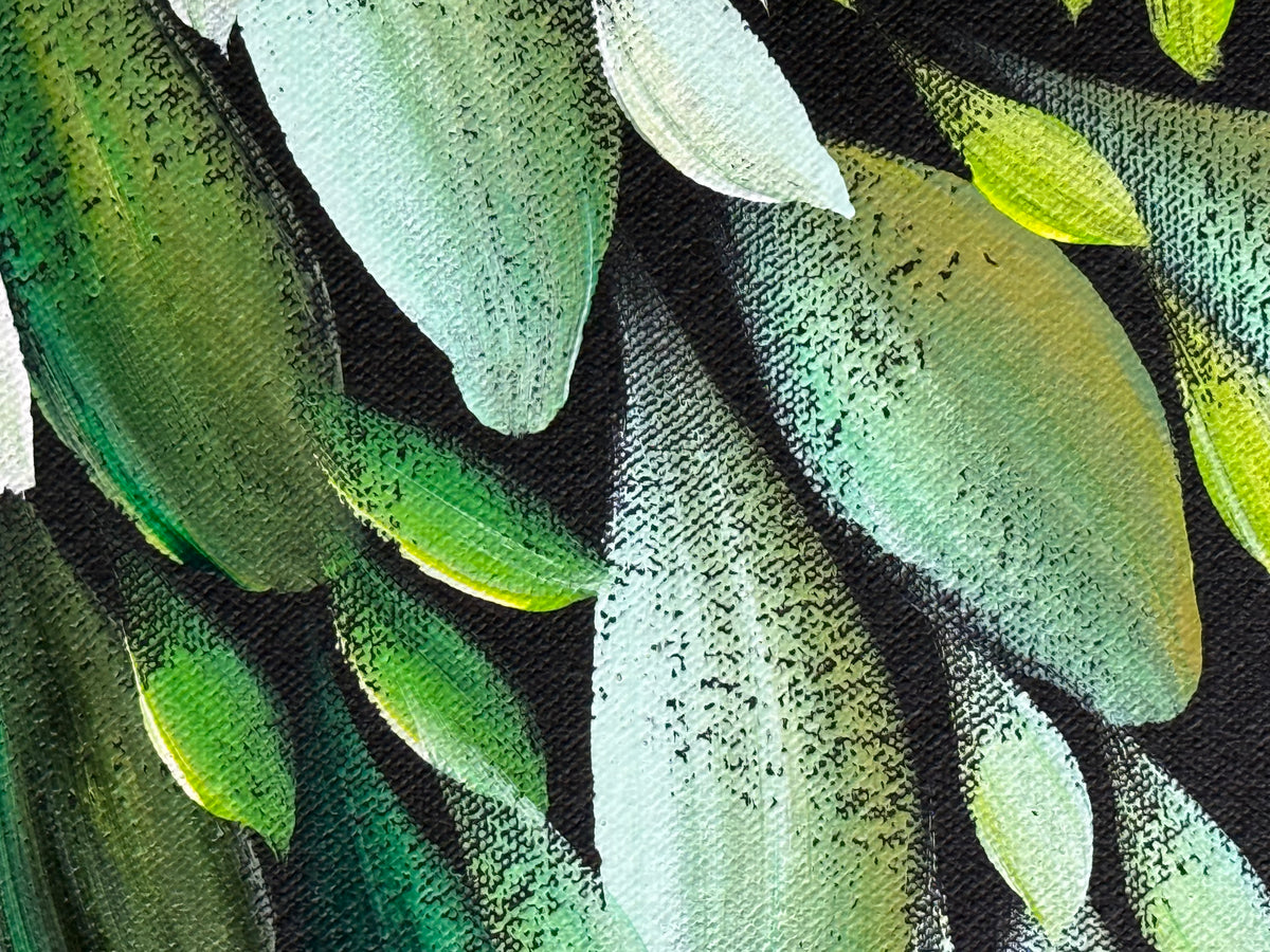 Louise Numina Napananka - Bush Medicine Leaves .22-14