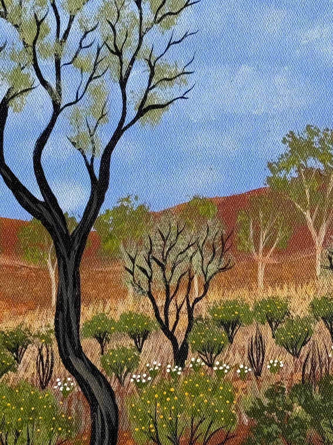 Kathleen Buzzacott - Wildflowers Central Australia - 30x30cm .17-16