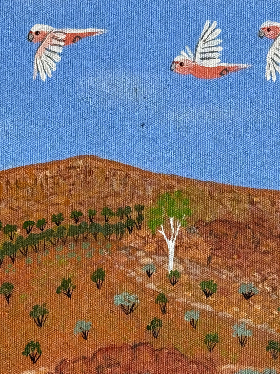 Kathleen Buzzacott - West MacDonnell Ranges - 30x30cm .17-17