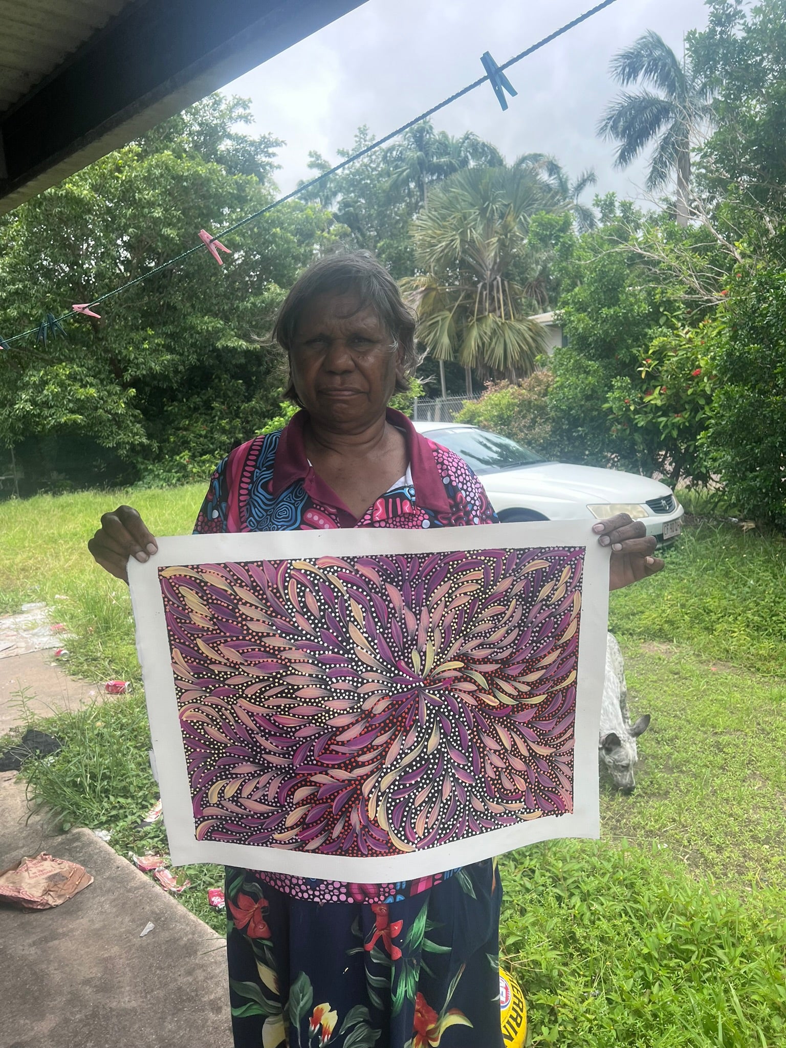 Caroline Numina - Bush Medicine Leaves and Seeds .04-15