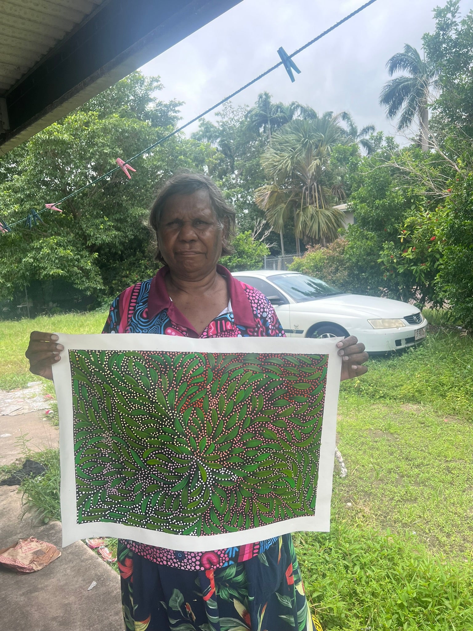 Caroline Numina - Bush Medicine Leaves and Seeds .04-16