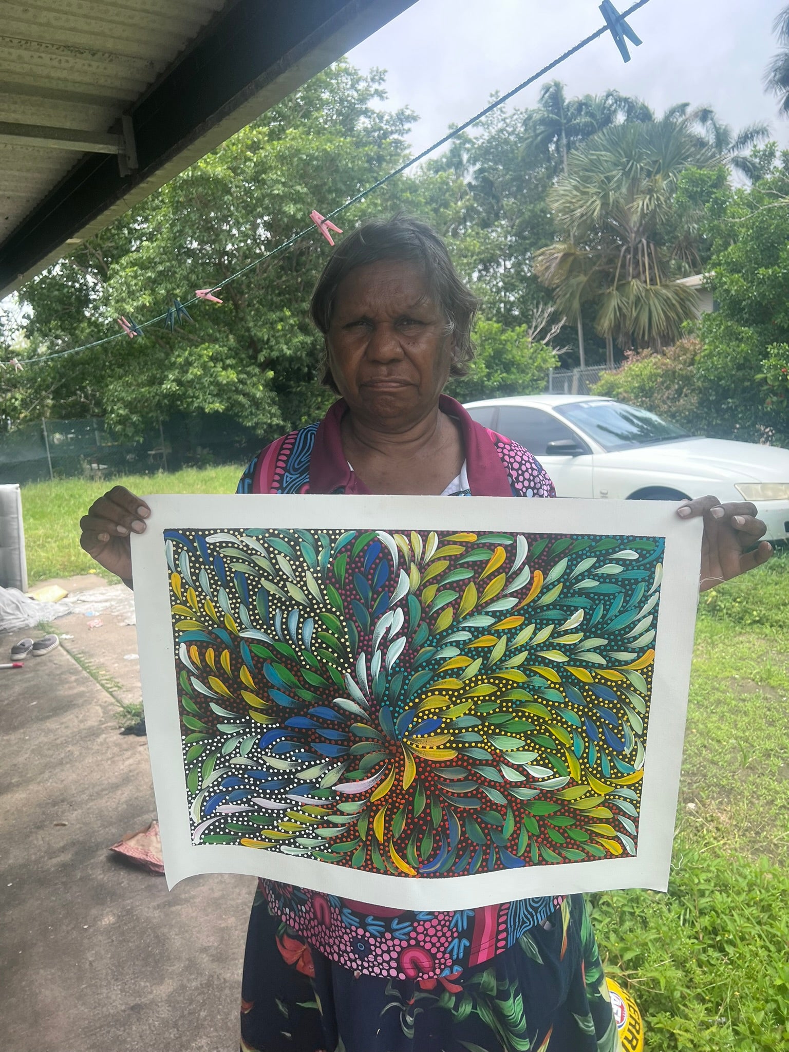 Caroline Numina - Bush Medicine Leaves and Seeds .04-24