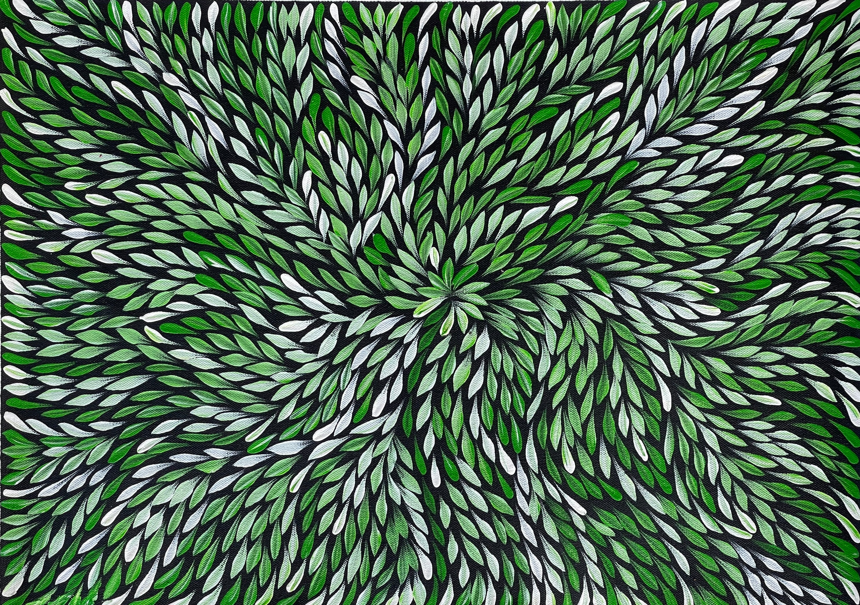 Green Bush Medicine Leaves Aboriginal Art painted by Sharon Turner