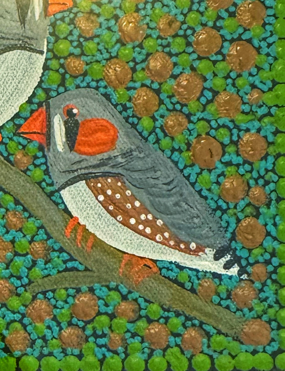 Kathleen Buzzacott - Zebra Finches - Small, Framed .230