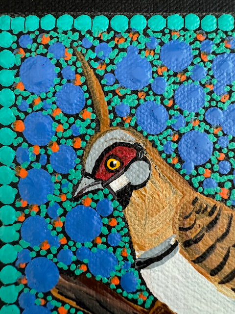Kathleen Buzzacott - Spinifex Pigeon - Small, Framed .404