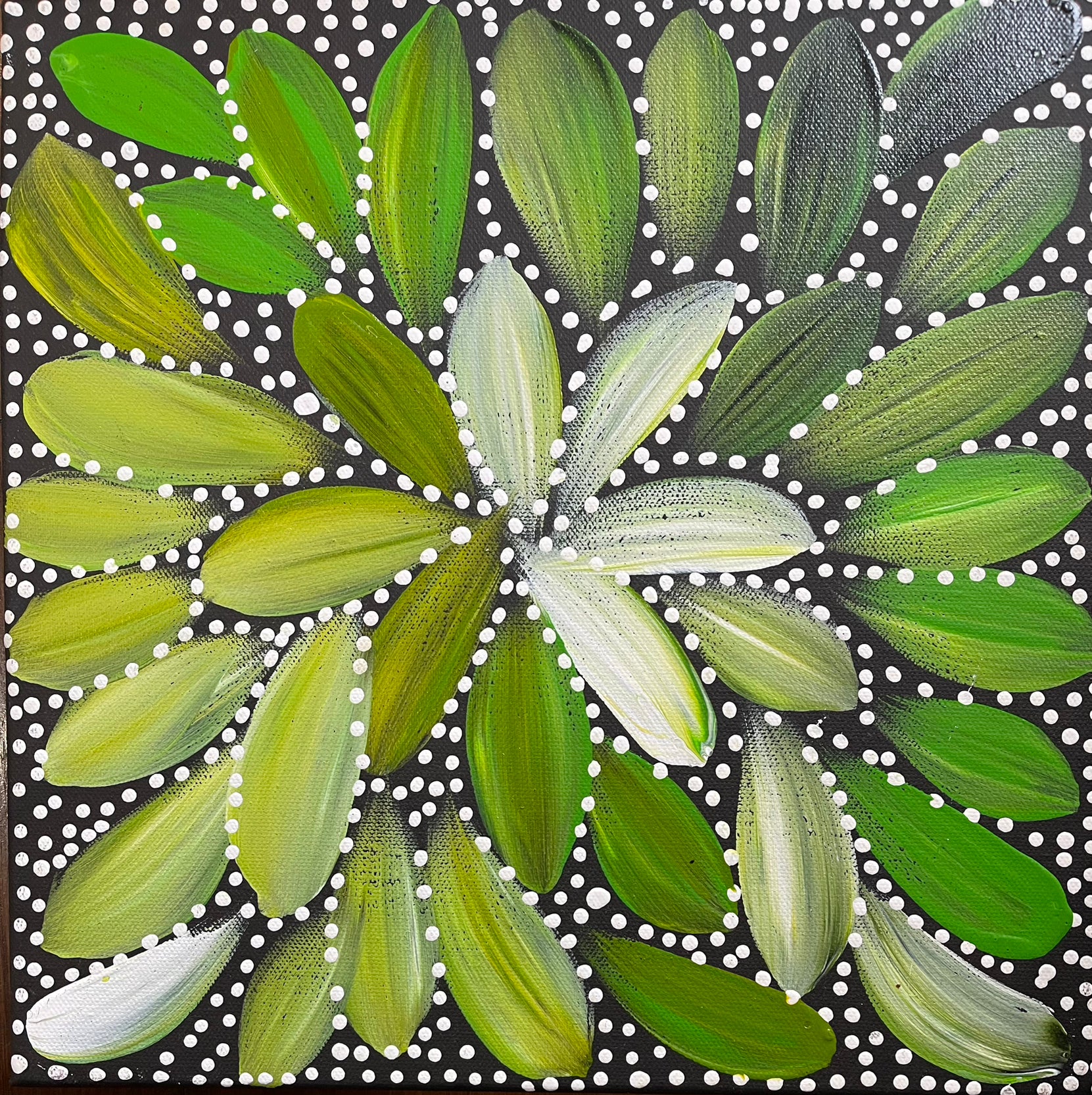 Louise Numina - Bush Medicine Leaves - 30x30cm .32-12 Stretched Ready to Hang