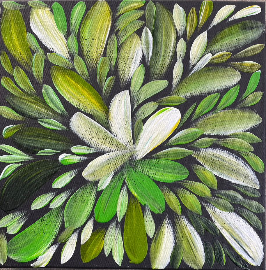 Louise Numina - Bush Medicine Leaves - 30x30cm .30-31 Stretched Ready to Hang