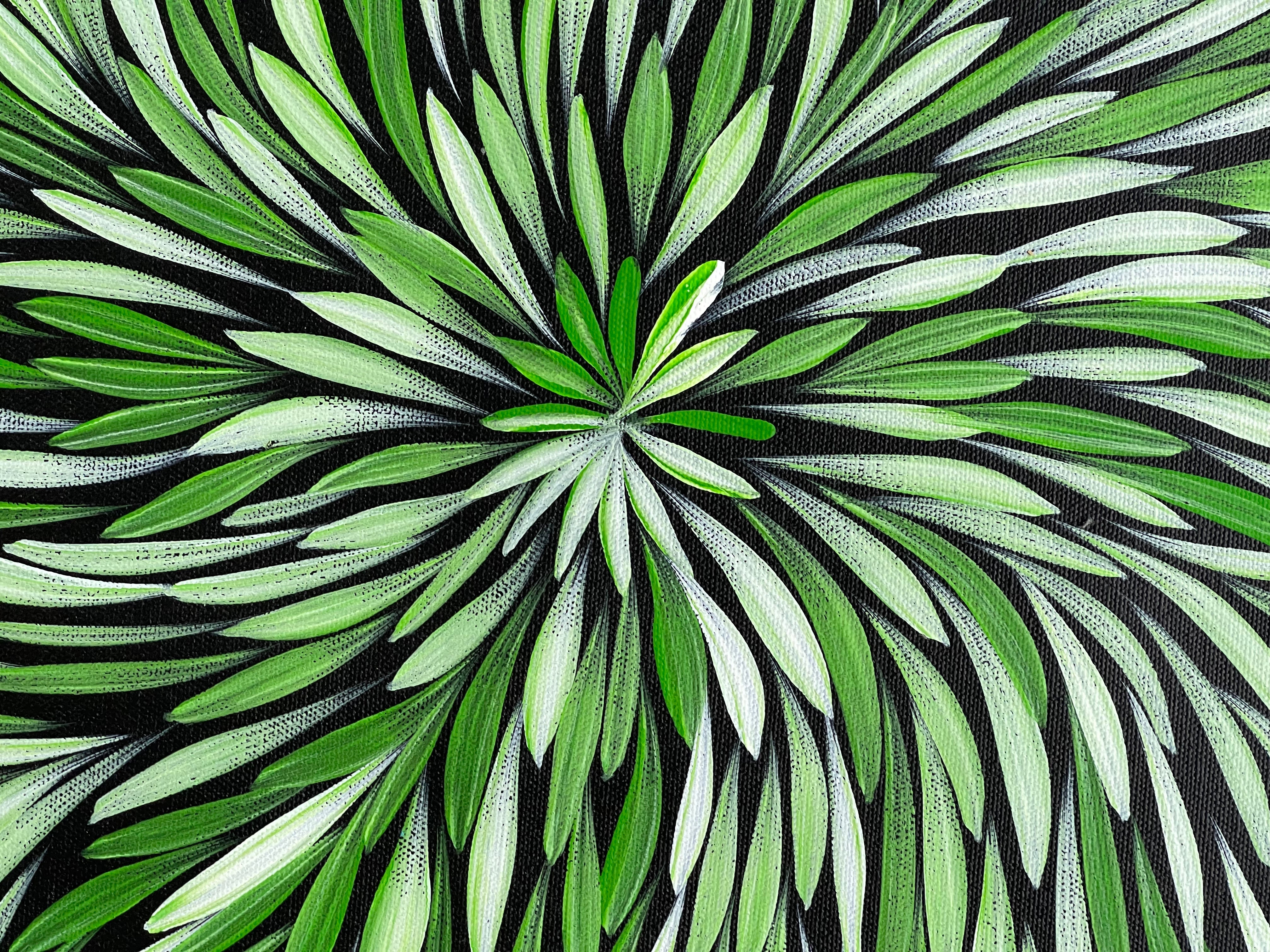 Sharon Numina - Bush Medicine Leaves- 38x52cm 91-8