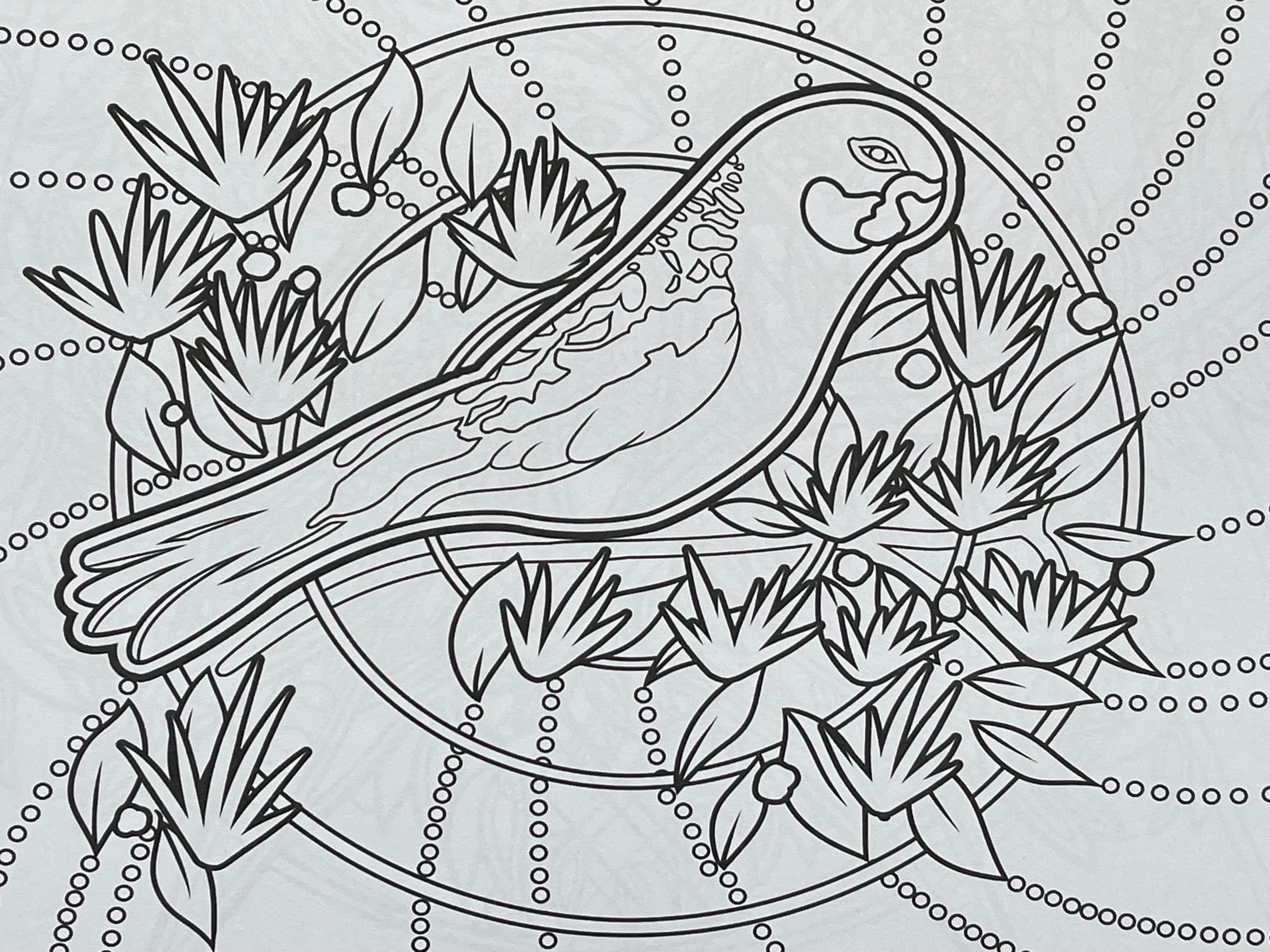Animal Totems Colouring Book - Mirree Bayliss